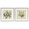 Stupell Industries Vintage Yellow Bushels and Wheat 2pc Framed Print Under Glass Set, design by Petal Prints Design